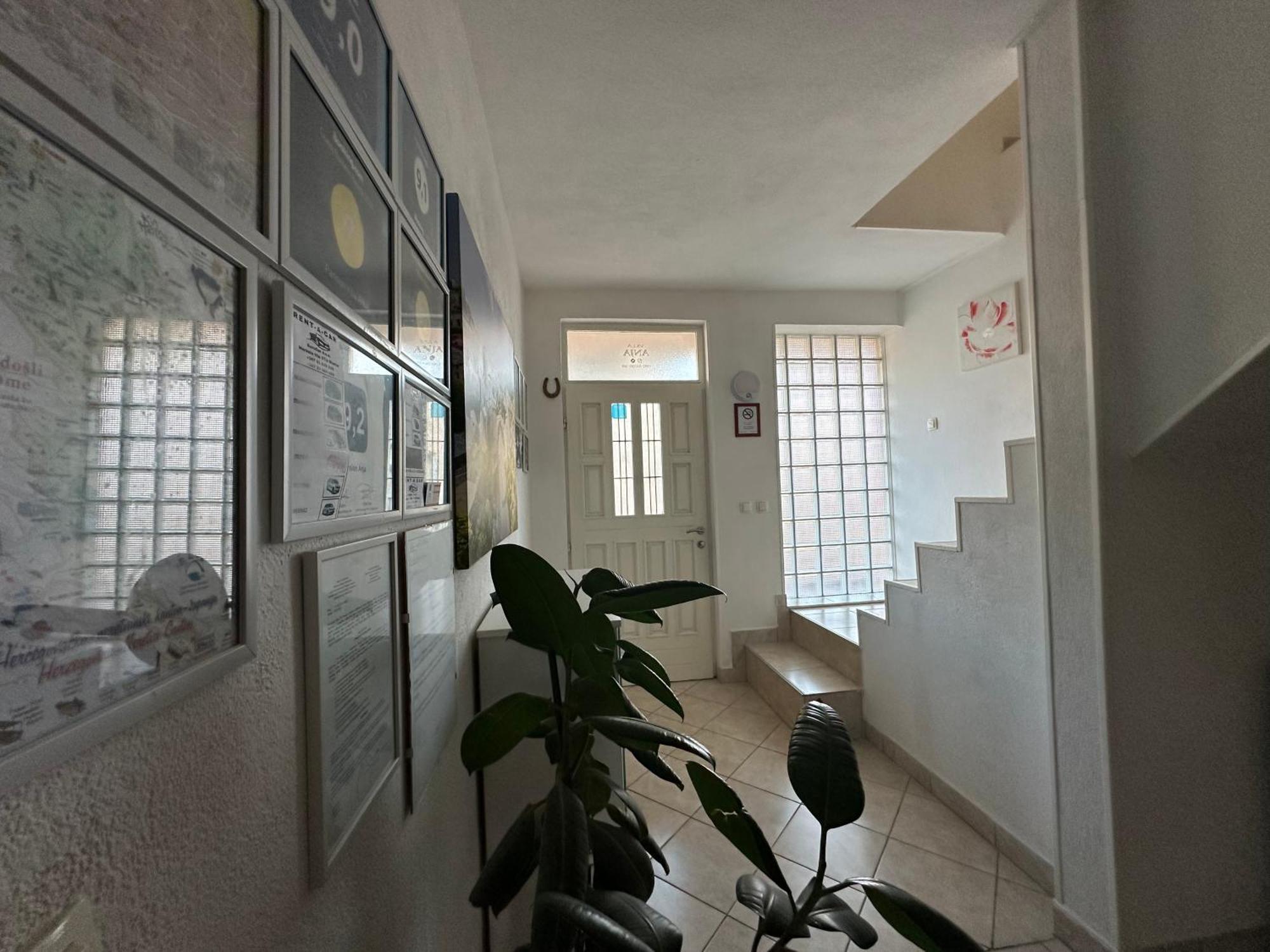 מוסטר Villa Anja Apartments מראה חיצוני תמונה