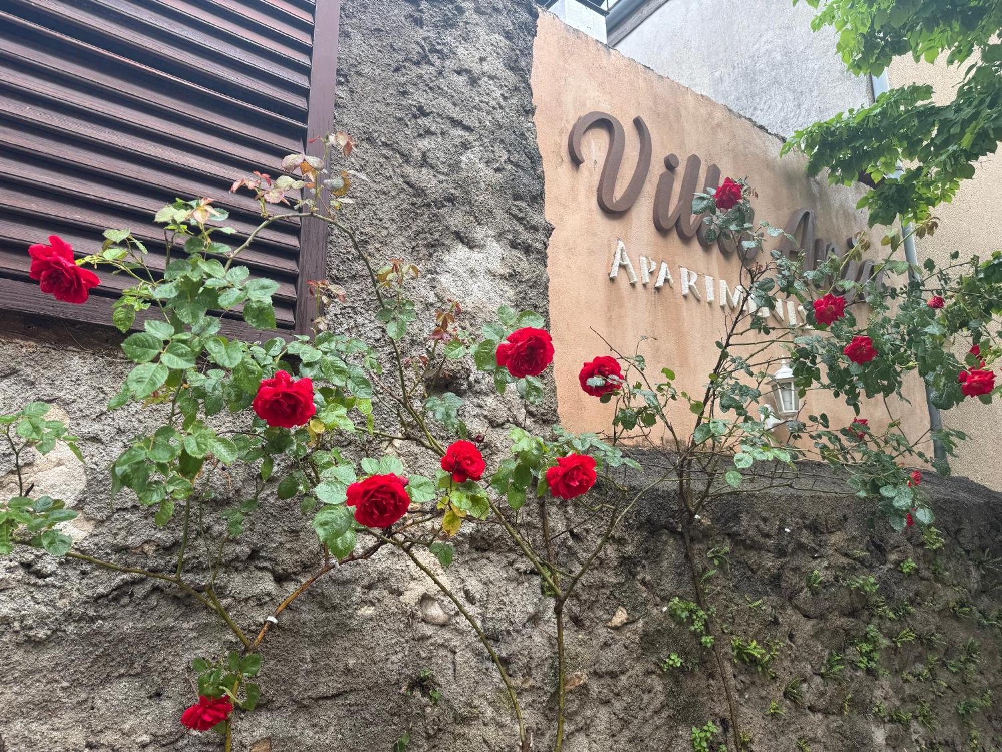 מוסטר Villa Anja Apartments מראה חיצוני תמונה